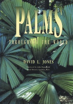 Palms Throughout The World
