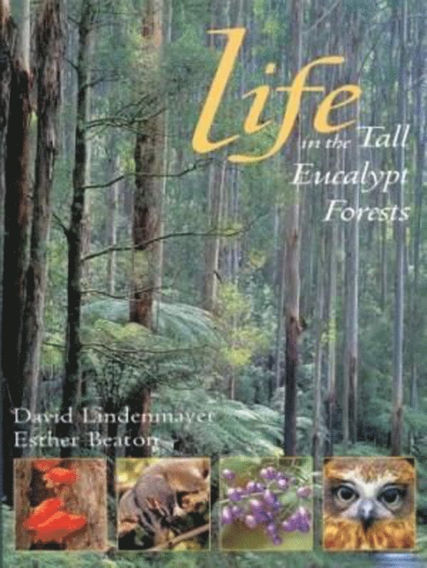 David Lindenmayer, Esther Beaton - Life in the Tall Eucalypt Forests, Häftad