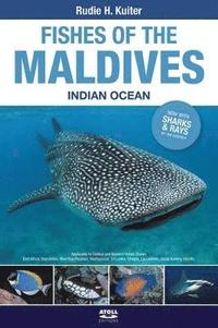 bokomslag Fishes of the Maldives