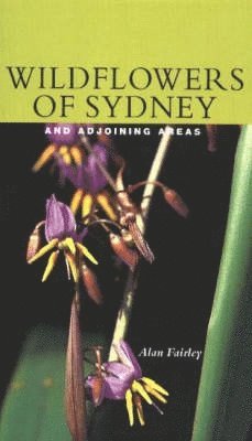 Wildflowers of Sydney