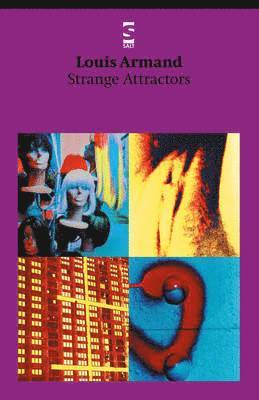 bokomslag Strange Attractors