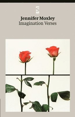 Imagination Verses 1