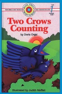 bokomslag Two Crows Counting