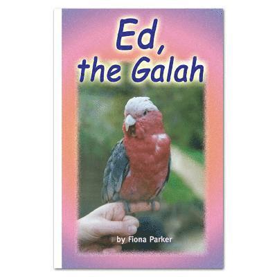 KINGSCOURT / MC, KINGSCOURT / MC - ED, THE GALAH - RR WHITE, Häftad