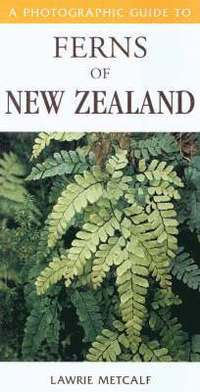 bokomslag Photographic Guide To Ferns Of New Zealand
