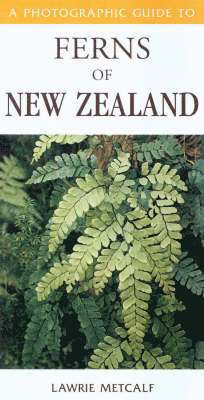 bokomslag Photographic Guide To Ferns Of New Zealand