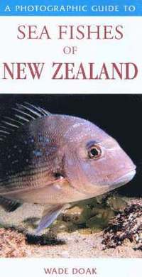 bokomslag Photographic Guide To Sea Fishes Of New Zealand