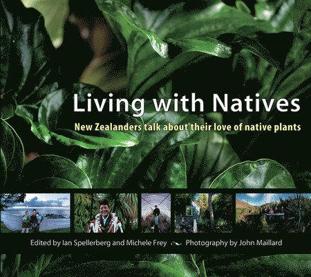 Living with Natives: New Zealanders Talk about Their Love of Native Plants