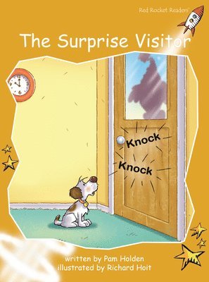The Surprise Visitor