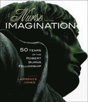 Lawrence Jones - Nurse to the Imagination, Häftad