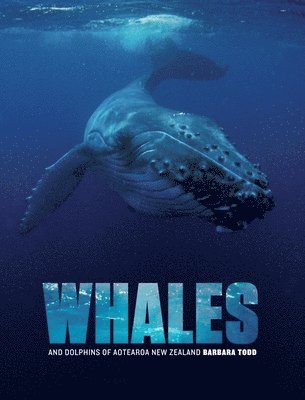 Barbara Todd - Whales and Dolphins of Aotearoa New Zealand, Häftad