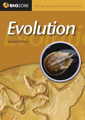 Pryor Greenwood, Allan Bainbridge-Smith - Evolution Modular Workbook, Häftad