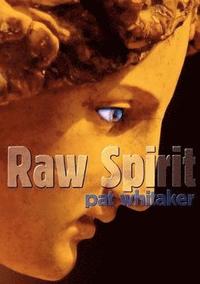 bokomslag Raw Spirit