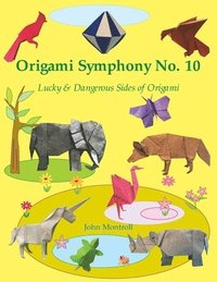 bokomslag Origami Symphony No. 10