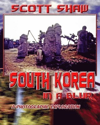 South Korea in a Blur 1