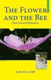 The Flower and The Bee