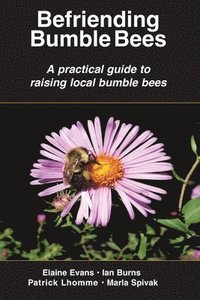bokomslag Befriending Bumble Bees: A practical guide to raising local bumble bees