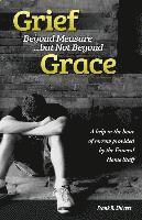 bokomslag Grief Beyond Measure But Not Beyond Grace