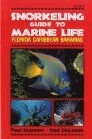 bokomslag Snorkeling Guide to Marine Life