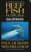 bokomslag Reef Fish Identification Galapagos