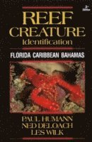 bokomslag Reef Creature Identification