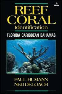 bokomslag Reef Coral Identification