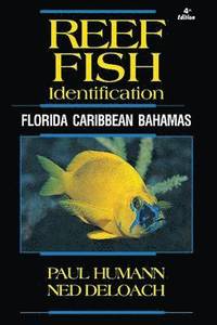 bokomslag Reef Fish Identification