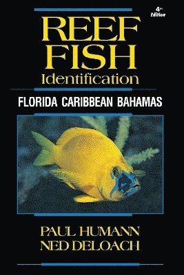 Reef Fish Identification 1