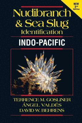 Nudibranch and Sea Slug Identification Indo-Pacific 1
