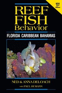 bokomslag Reef Fish Behavior
