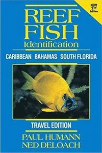 bokomslag Reef Fish Identification -- Travel Edition