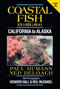 bokomslag Coastal Fish Identification: California to Alaska