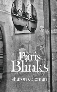 bokomslag Paris Blinks: Fifty 50-Word Stories Set in and Around Paris