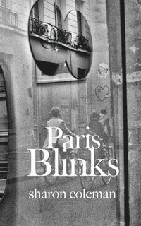 bokomslag Paris Blinks: Fifty 50-Word Stories Set In and Around Paris