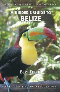 bokomslag A Birder's Guide to Belize