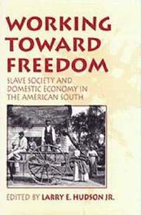 bokomslag Working Toward Freedom: Slave Society and Domestic Economy in the American South