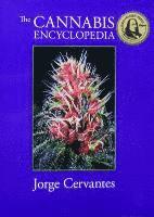 bokomslag The Cannabis Encyclopedia: The Definitive Guide to Cultivation & Consumption of Medical Marijuana