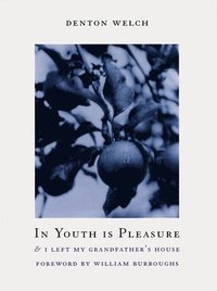 bokomslag In Youth Is Pleasure
