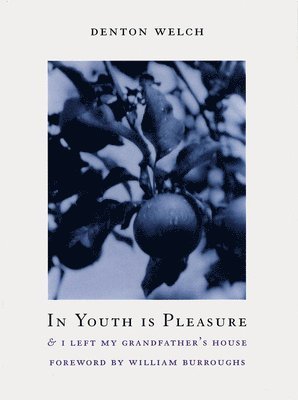 bokomslag In Youth Is Pleasure