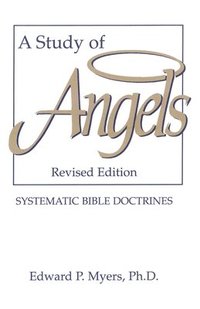bokomslag A Study of Angels
