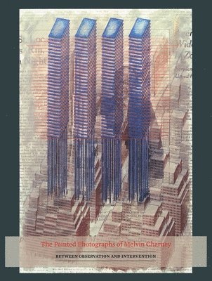 bokomslag The Painted Photographs of Melvin Charney: Between Observation and Intervention