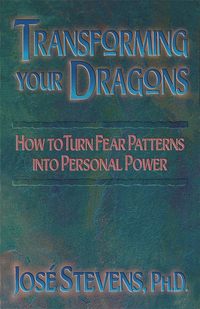 bokomslag Transforming Your Dragons