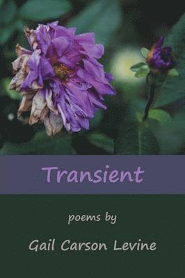 Gail Carson Levine - Transient, Häftad