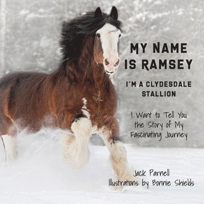 My Name is Ramsey: I'm a Clydesdale Stallion 1