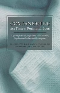 bokomslag Companioning at a Time of Perinatal Loss