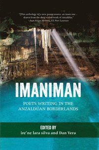 bokomslag Imaniman