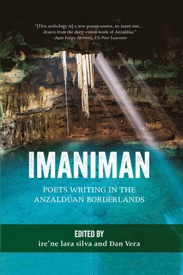 bokomslag Imaniman