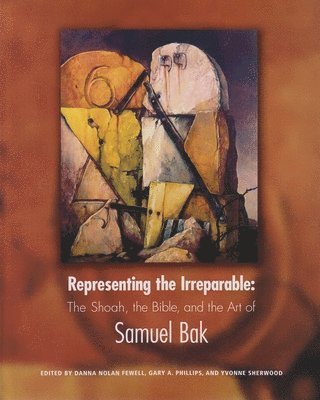 bokomslag Representing the Irreparable