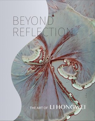 Tao Wang, Wayne Higby, Mary Drach McInnes, Michaël Amy, Andrew L. Maske - Beyond Reflection, Inbunden