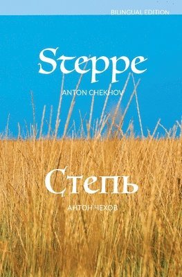 Steppe 1